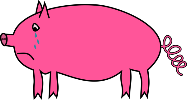 Free Pig Pig Snout Area Clipart Clipart Transparent Background