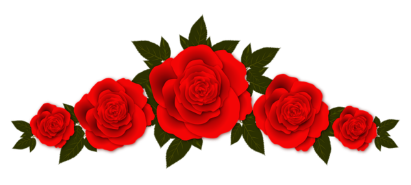 Free Rose Flower Rose Garden Roses Clipart Clipart Transparent Background