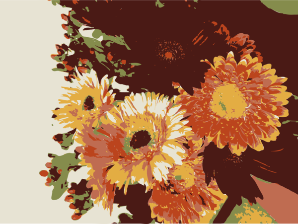 Free Gerbera Flower Flower Arranging Sunflower Clipart Clipart Transparent Background