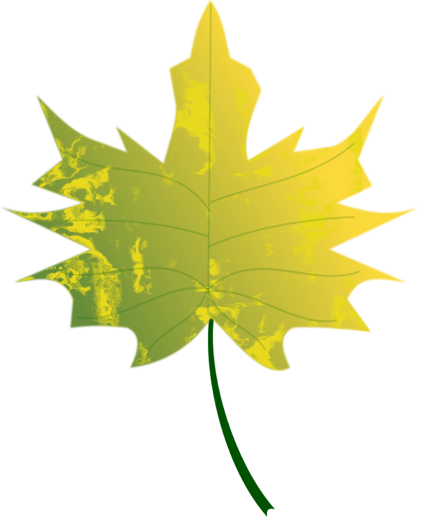 Free Leaf Leaf Plant Maple Leaf Clipart Clipart Transparent Background