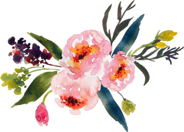 Free Spring Flower Plant Blossom Clipart Clipart Transparent Background