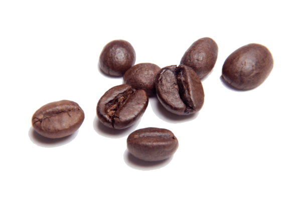 Free Coffee Chocolate Coated Peanut Jamaican Blue Mountain Coffee Cocoa Bean Clipart Clipart Transparent Background