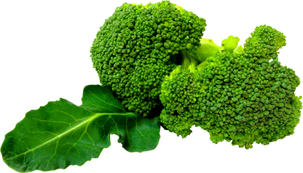 Free Spring Leaf Vegetable Broccoli Vegetable Clipart Clipart Transparent Background