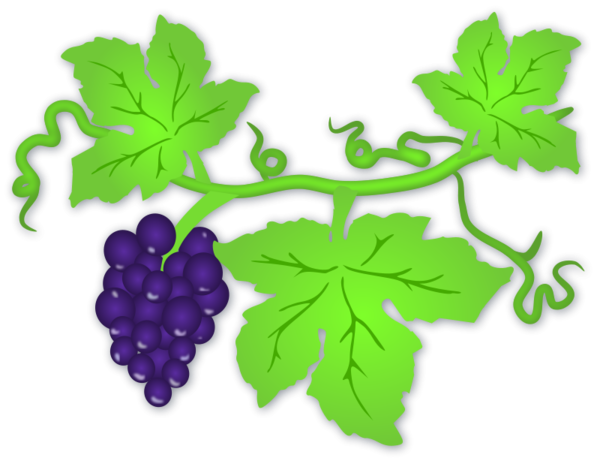 Free Wine Grape Grapevine Family Leaf Clipart Clipart Transparent Background