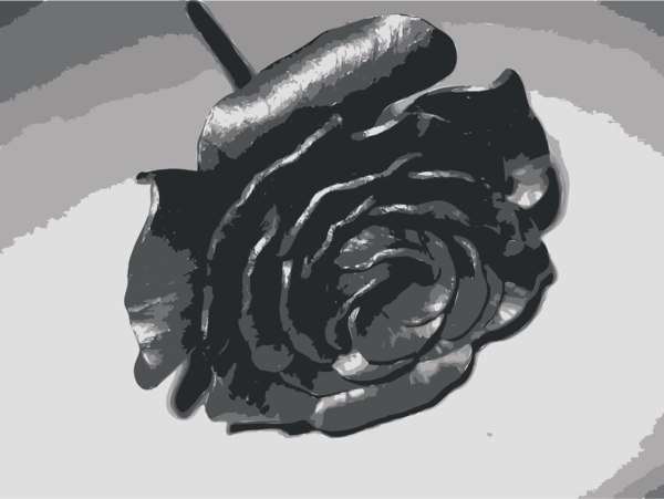 Free Rose Black And White Rose Family Automotive Tire Clipart Clipart Transparent Background