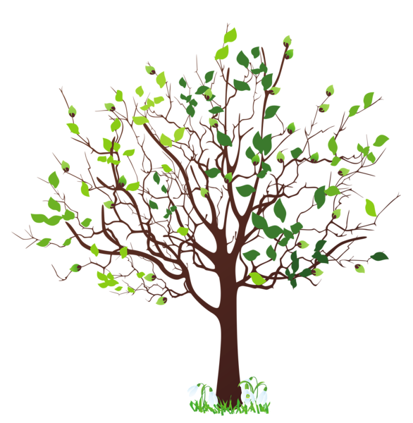 Free Leaf Tree Branch Plant Clipart Clipart Transparent Background