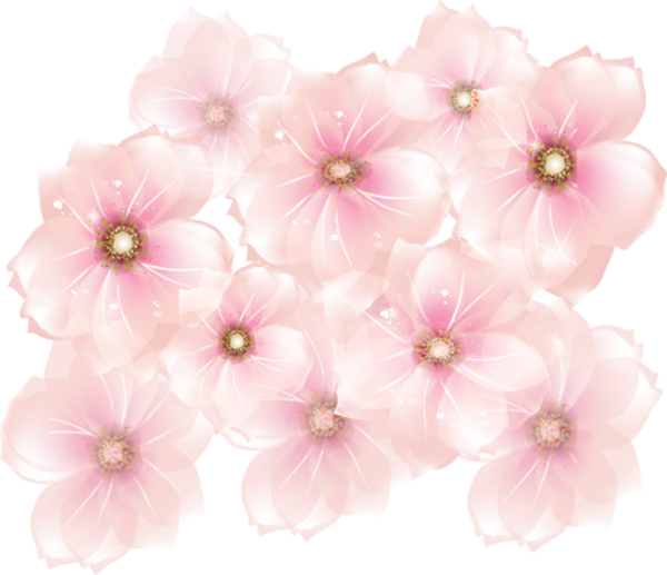 Free Lily Flower Petal Plant Clipart Clipart Transparent Background