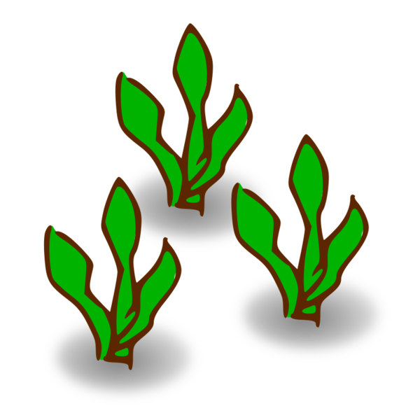 Free Family Leaf Plant Flower Clipart Clipart Transparent Background