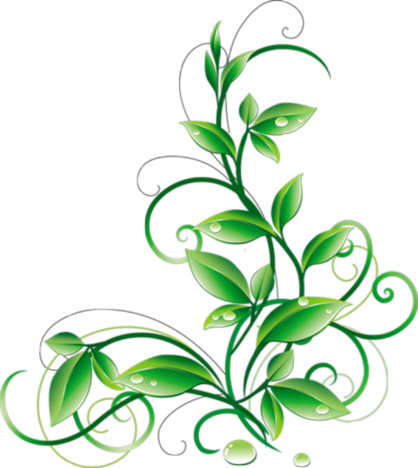 Free Grass Leaf Plant Flower Clipart Clipart Transparent Background