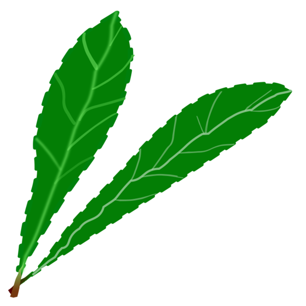 Free Family Leaf Plant Hemp Clipart Clipart Transparent Background