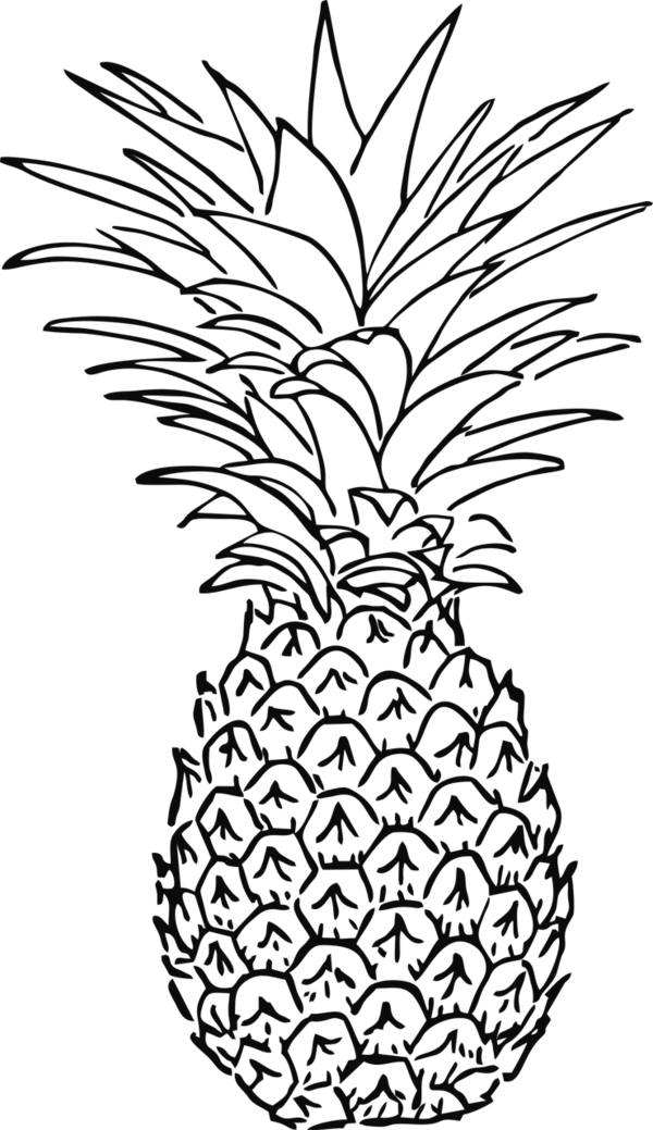 Free Leaf Plant Black And White Flower Clipart Clipart Transparent Background