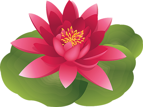 Free Water Flower Lotus Sacred Lotus Clipart Clipart Transparent Background