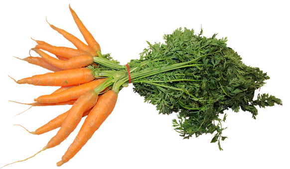 Free Vegetable Carrot Vegetable Natural Foods Clipart Clipart Transparent Background
