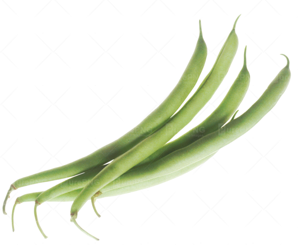 Free Vegetable Vegetable Scallion Green Bean Clipart Clipart Transparent Background