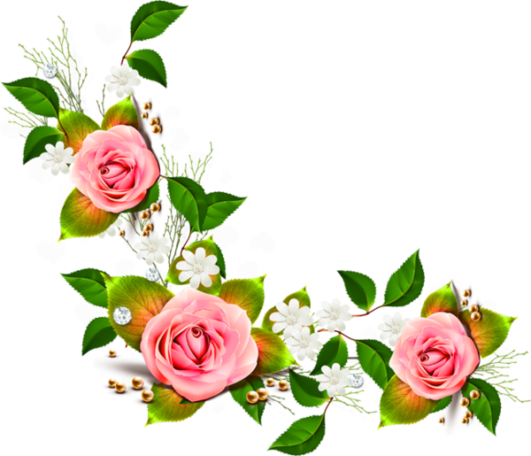 Free Rose Flower Rose Family Plant Clipart Clipart Transparent Background
