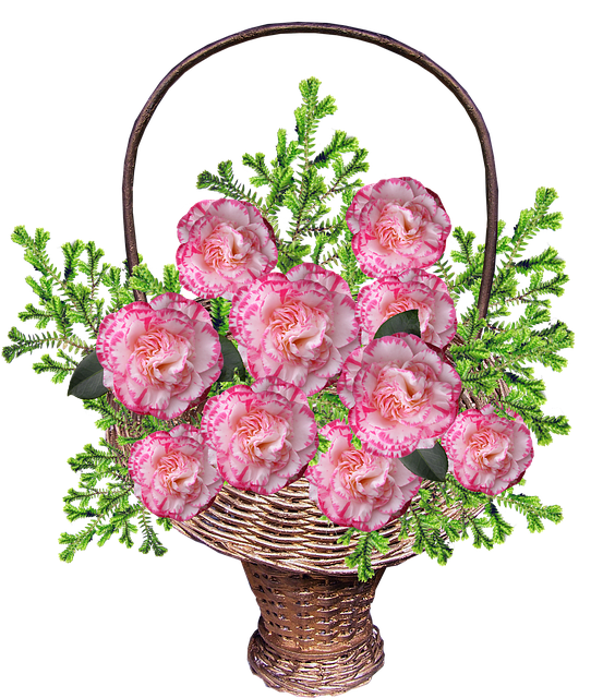 Free Peony Flower Cut Flowers Flower Arranging Clipart Clipart Transparent Background