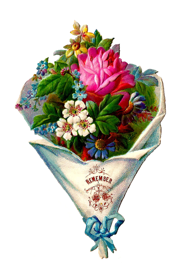 Free Rose Flower Flower Bouquet Cut Flowers Clipart Clipart Transparent Background