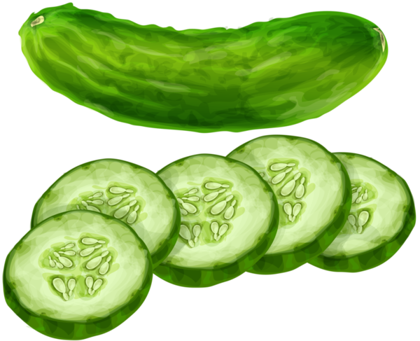 Free Fruit Vegetable Natural Foods Cucumber Clipart Clipart Transparent Background