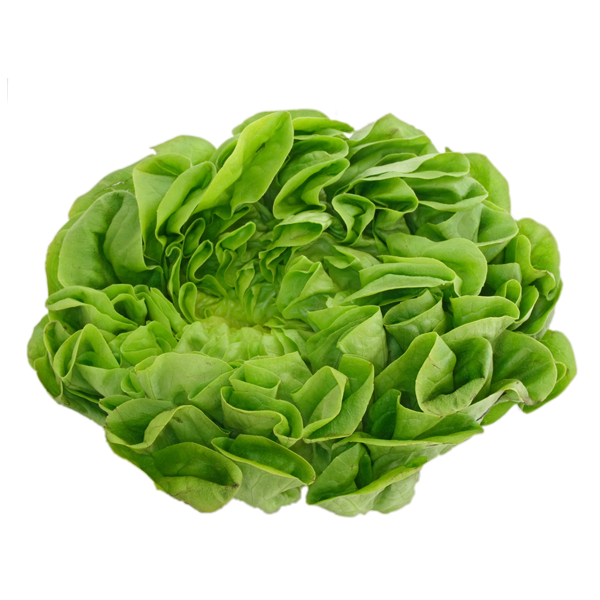 Free Spring Leaf Vegetable Lettuce Vegetable Clipart Clipart Transparent Background