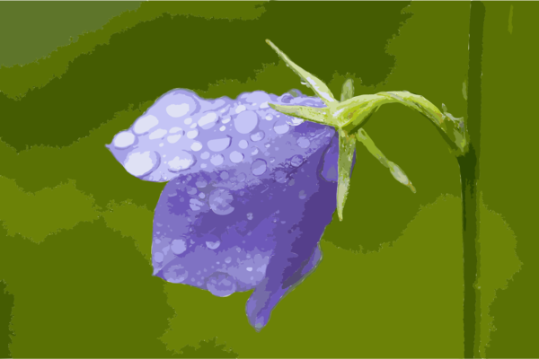 Free Water Flower Flora Violet Clipart Clipart Transparent Background