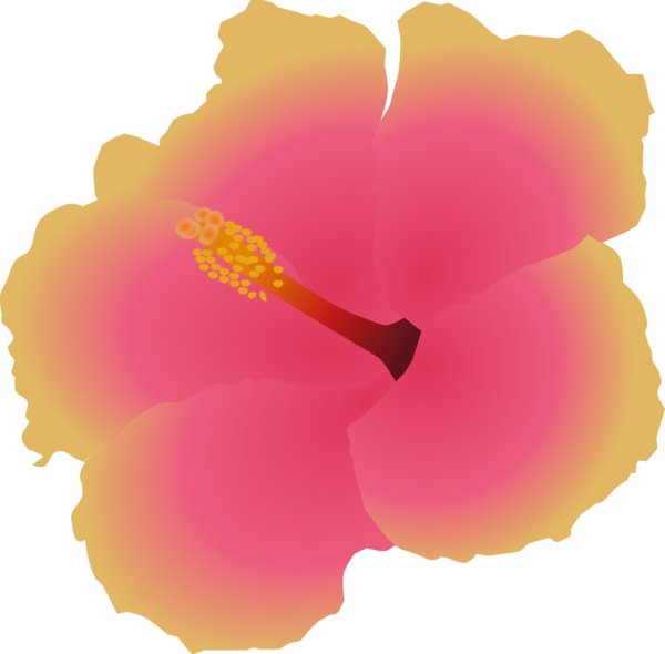 Free Hibiscus Flower Petal Hibiscus Clipart Clipart Transparent Background
