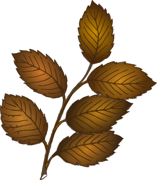 Free Autumn Leaf Tree Plant Clipart Clipart Transparent Background