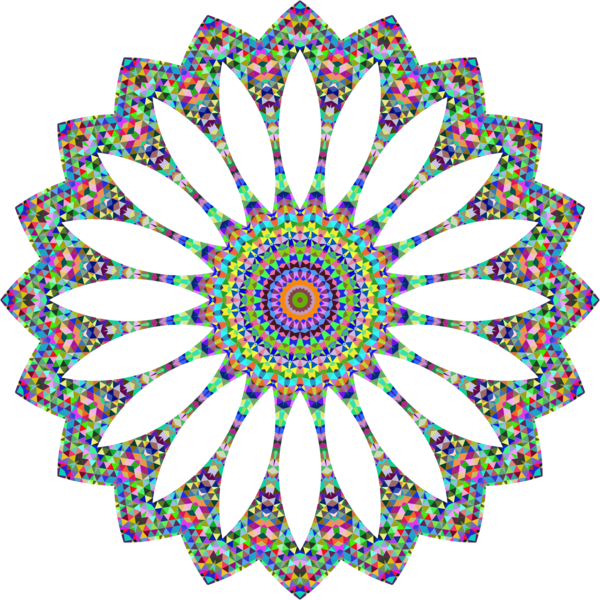Free Tree Flower Symmetry Circle Clipart Clipart Transparent Background