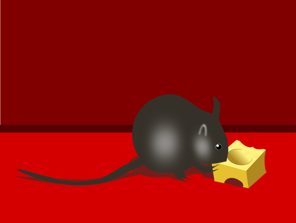 Free Cheese Mouse Rat Muridae Clipart Clipart Transparent Background
