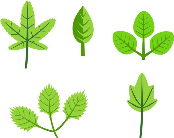 Free Grass Leaf Plant Tree Clipart Clipart Transparent Background