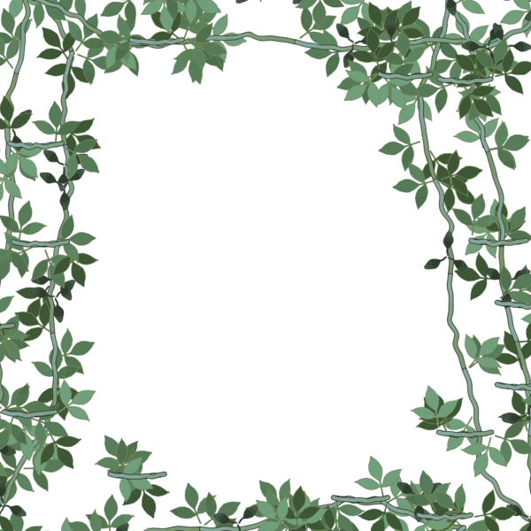 Free Leaf Leaf Tree Flower Clipart Clipart Transparent Background