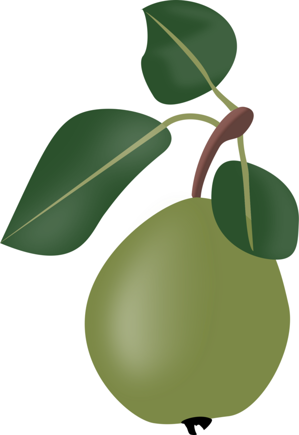 Free Chinese Food Leaf Fruit Plant Clipart Clipart Transparent Background