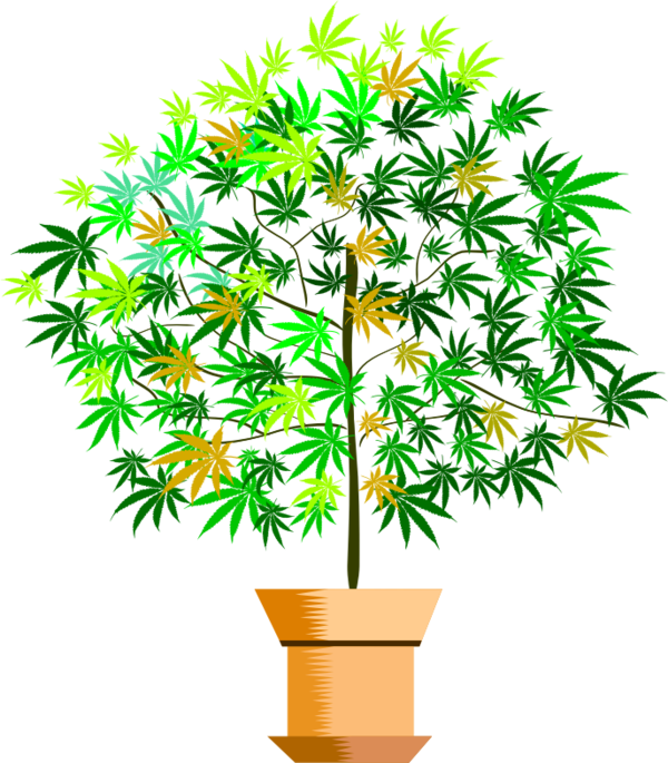 Free Lily Tree Flowerpot Leaf Clipart Clipart Transparent Background