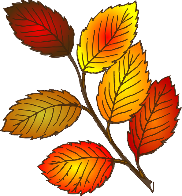 Free Autumn Leaf Plant Flower Clipart Clipart Transparent Background