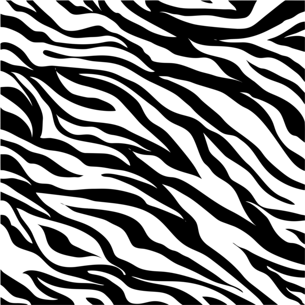 Free Leopard Black And White Zebra Line Clipart Clipart Transparent Background