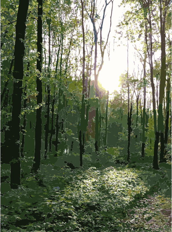 Free Grass Ecosystem Woodland Vegetation Clipart Clipart Transparent Background