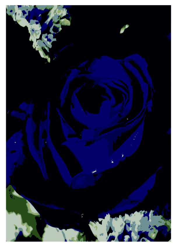 Free Rose Flower Rose Family Blue Rose Clipart Clipart Transparent Background