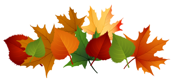 Free Autumn Leaf Petal Maple Leaf Clipart Clipart Transparent Background