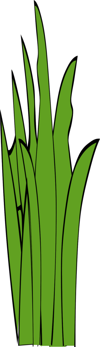 Free Lawn Leaf Plant Flora Clipart Clipart Transparent Background