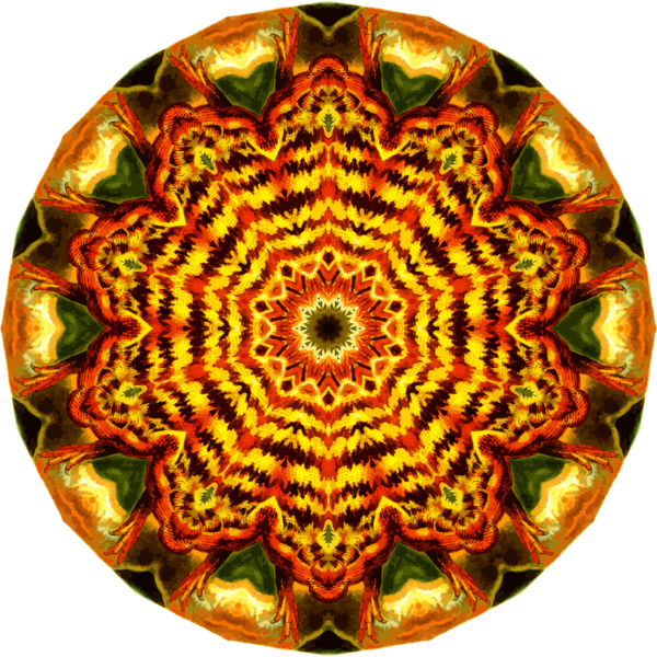 Free Lizard Kaleidoscope Symmetry Clipart Clipart Transparent Background