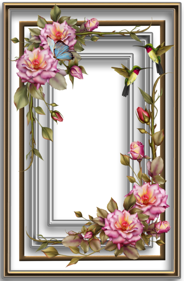 Free Rose Flower Flower Arranging Picture Frame Clipart Clipart Transparent Background