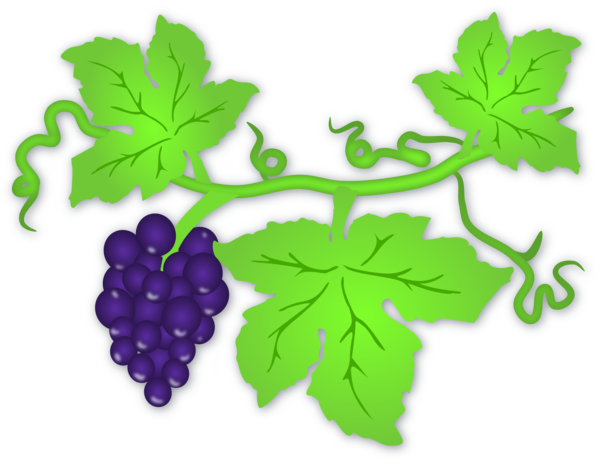 Free Family Grape Grapevine Family Leaf Clipart Clipart Transparent Background