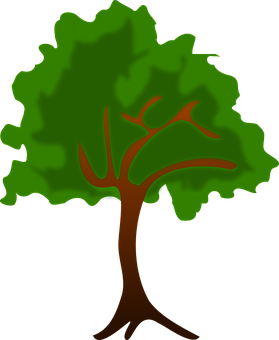 Free Water Tree Woody Plant Leaf Clipart Clipart Transparent Background