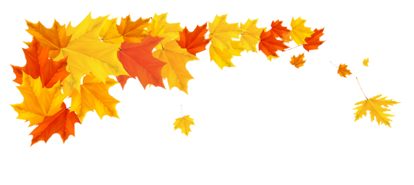 Free Autumn Leaf Tree Petal Clipart Clipart Transparent Background