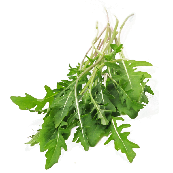 Free Spring Leaf Vegetable Vegetable Leaf Clipart Clipart Transparent Background