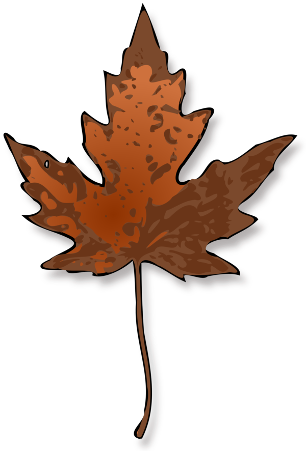 Free Leaf Leaf Maple Leaf Plant Clipart Clipart Transparent Background