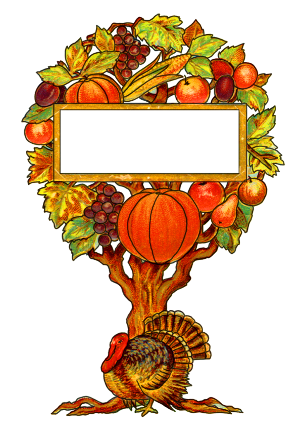 Free Turkey Flower Fruit Leaf Clipart Clipart Transparent Background