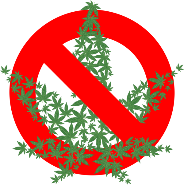 Free Christmas Christmas Decoration Christmas Ornament Leaf Clipart Clipart Transparent Background