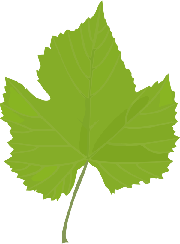 Free Tree Leaf Plant Tree Clipart Clipart Transparent Background