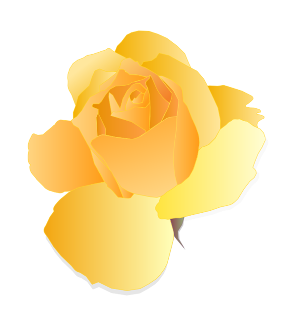 Free Garden Flower Rose Family Petal Clipart Clipart Transparent Background