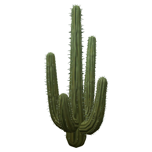 Free Cactus Plant Cactus Hedgehog Cactus Clipart Clipart Transparent Background